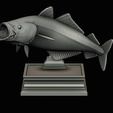 coalfish-open-mouth-statue-box-58.png COALFISH / POLLACHIUS VIRENS trophy with storage space for 3d printing