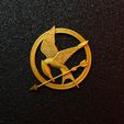 IMG_1260.jpg Mockingjay Pin - Hunger Games
