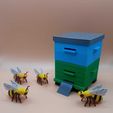 WhatsApp-Image-2023-09-21-at-17.37.48-1.jpeg A bee hive