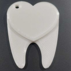 Tooth.jpeg Tooth key rings/Tooth key rings