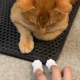 LINE_ALBUM_20221118_230318_6.jpg finger Cat Paw