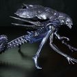 IMG_5300.JPG Alien Queen