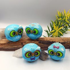 IMG_20230416_070703.jpg Cute cartoon owl`s with big eyes, family pack