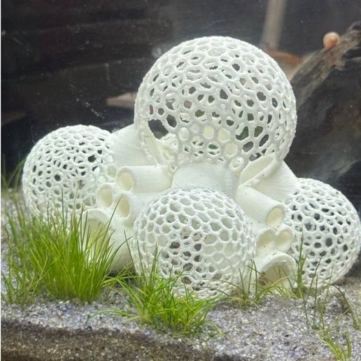 shrimp hotel for aquarium - 3D model önizlemesi