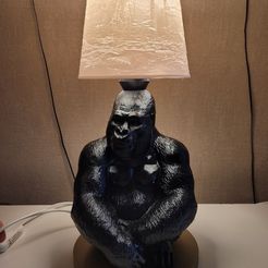 20240315_172423.jpg gorilla decorative lamp + litho shade