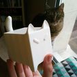 IMG_20160826_202646.jpg Tofu Cat