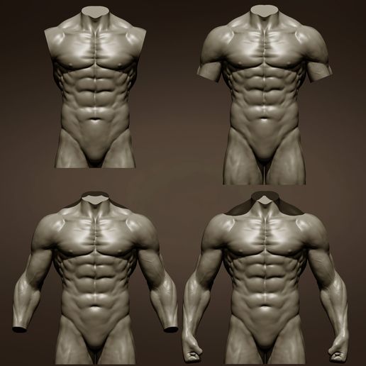 caqdvx.jpg Archivo 3D 4 Torsos masculinos・Modelo para descargar e imprimir en 3D, Daniartist