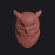 owl_0001.jpg Owl Head