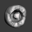 meshmixer_xTKqq3nD7o.png Root Canal Teeth for Practice 10 models