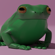 kikker-render.png Whites Tree Frog