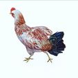 IIIK.jpg CHICKEN - DOWNLOAD CHICKEN 3d Model - animated for Blender-Fbx-Unity-Maya-Unreal-C4d-3ds Max - AND 3D Printing HEN HEN CHICKEN hen, chicken, fowl, coward, sissy, funk -BIRD -  POKÉMON - GARDEN