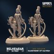 resize-a10.jpg Daugthers of Mayhem ALL VARIANTS - MINIATURES JULY 2023