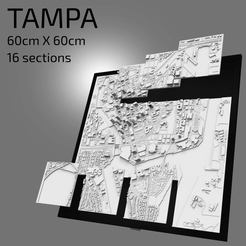 STL file Tampa Bay Rays keychain・3D printing design to download