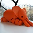 3.jpg Free STL file Elephant・3D printer design to download