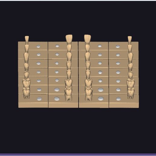 🦷 Carving - Full Dental Tooth Arrangement Grid – Printable Training ...