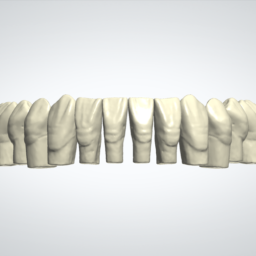 🦷 3Shape Smile Library Robtoly-Triangular・ STL File for 3D printing・Cults