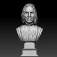 s1.jpg Severus Snape Bust