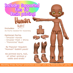 il_794xN-3.png [KABBIT BJD] - Human Kabbit Ball Jointe Doll - (For FDM and SLA Printers)