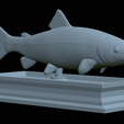 Trout-statue-26.png fish rainbow trout / Oncorhynchus mykiss statue detailed texture for 3d printing