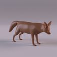 FennecFoxPr_0001.jpg Animales del desierto del Sáhara