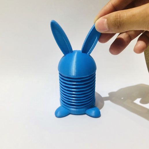 IMG_6845.jpg Spingo Rabbit