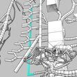 wf-0063.jpg Human venous system schematic 3D
