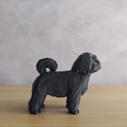 IMG_20211007_170718.jpg Низкополигональный Лхаса Апсо