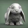 Rabbit2.jpg Rabbit American Fuzzy Fop 3D print model