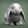 Rabbit2.jpg Kaninchen American Fuzzy Fop 3D-Druck Modell