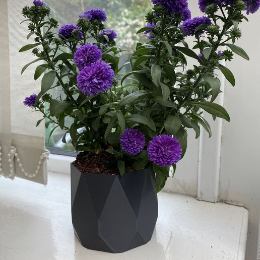 20230804_151228900_iOS.jpg Geometrisches Pflanzgefäß