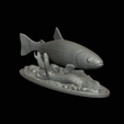 pstruh-klacky-1-14.png rainbow trout 2.0 underwater statue detailed texture for 3d printing