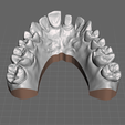 dental-model.png Dental Model , Crown 21