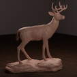 deer-side.png Whitetail Deer