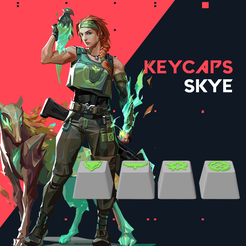 13.Skye-Cover.png Fichier STL Skye - Porte-clés Valorant・Objet pour imprimante 3D à télécharger