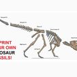 Psittacosaurus-3d-Print-v3.jpg Psittacosaurus Dinosaur v1