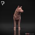 Australian-Cattle-Dog-Pose-02-Dog-3D-Print-10s.jpeg Australian Cattle Dog 3D Print Model Pose 02