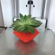 Low Poly Planter