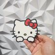 20230601_091529.jpg Hello Kitty