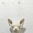 IMG-20250621-WA0025.jpg chihuahua dog head wall mount stl
