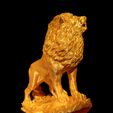 The-Asiatic-Lion-5.jpg The Asiatic Lion