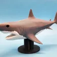 photo01.webp Megalodon mit Ständer AMS MMU | 3D Printable STL