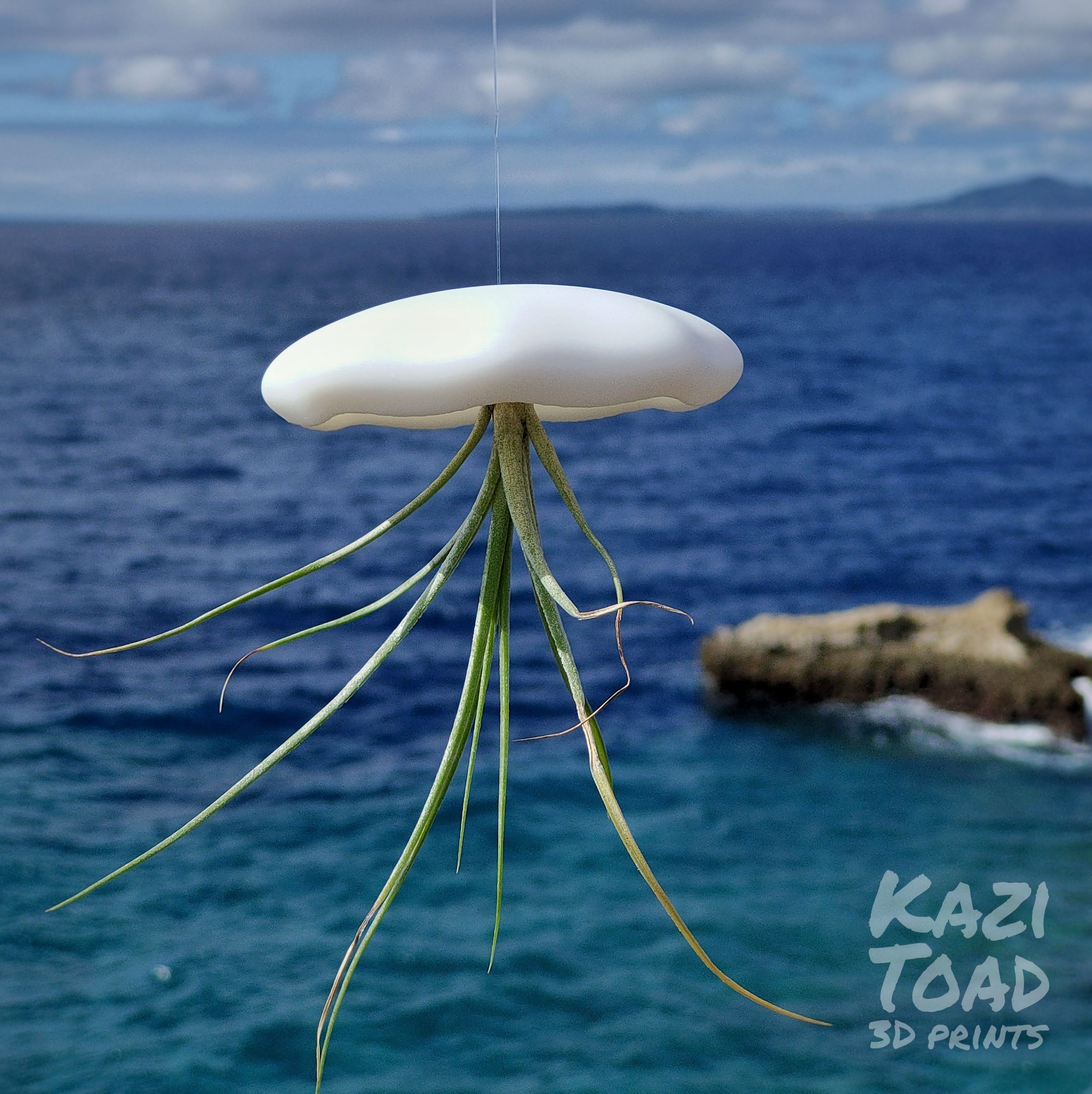 Mini_Jelly_lg_KaziToad.jpeg STL file Mini Jellyfish Air Plant holder Set (SLA)・3D printable model to download, KaziToad