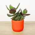 QB-Maker_pot-cactus-zigzig orange.jpg Zig Zag Pot