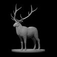 Elk.JPG Misc. Creatures for Tabletop Gaming Collection