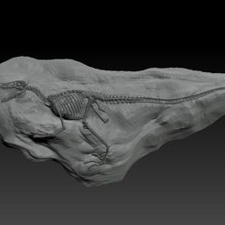 velociraptor2.jpg Velociraptor Fossil Rock - 3D Skeleton of Raptor Dinosaur