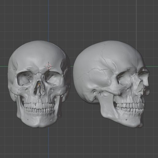 Skull