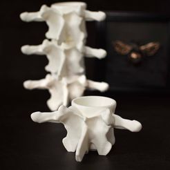 received_833844161614427.jpeg STL file Stackable Vertebra shaped cups・Design to download and 3D print