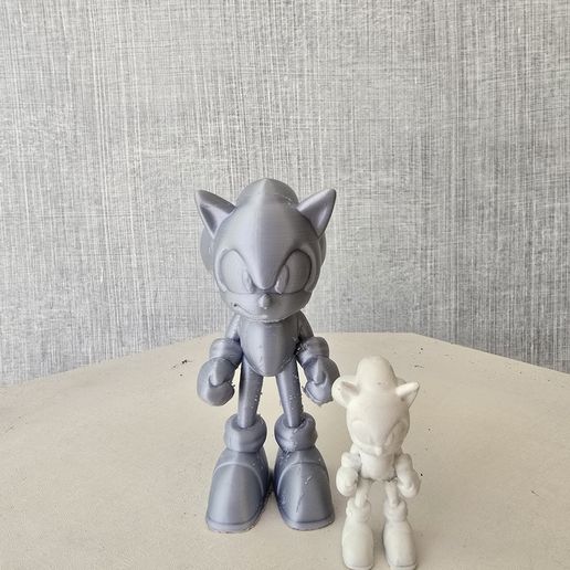 20251107_134421.jpg Sonic