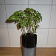 42dcc33b1e9eb2f294707677987d9c92_display_large.jpg Free STL file Selfwatering planter・3D printing idea to download