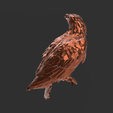 Screenshot_11.png Low Poly - Noble Eagle Magnificent Design